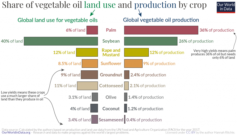 Vegetable oil production and land use – butterfly